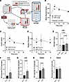 Mixed nutrient meal promotes greater meal glucose storage as glycogen than