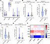 NK cell compartment in children and young people with and without LC.
