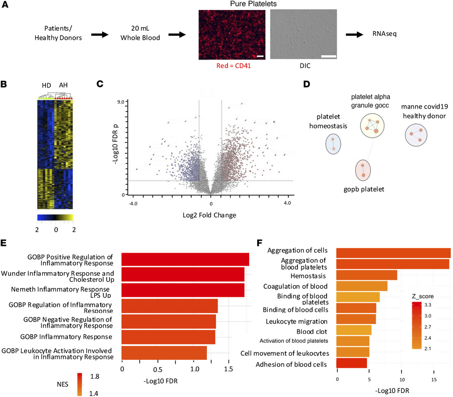 Differential gene expression and pathway analysis of platelets from pati...