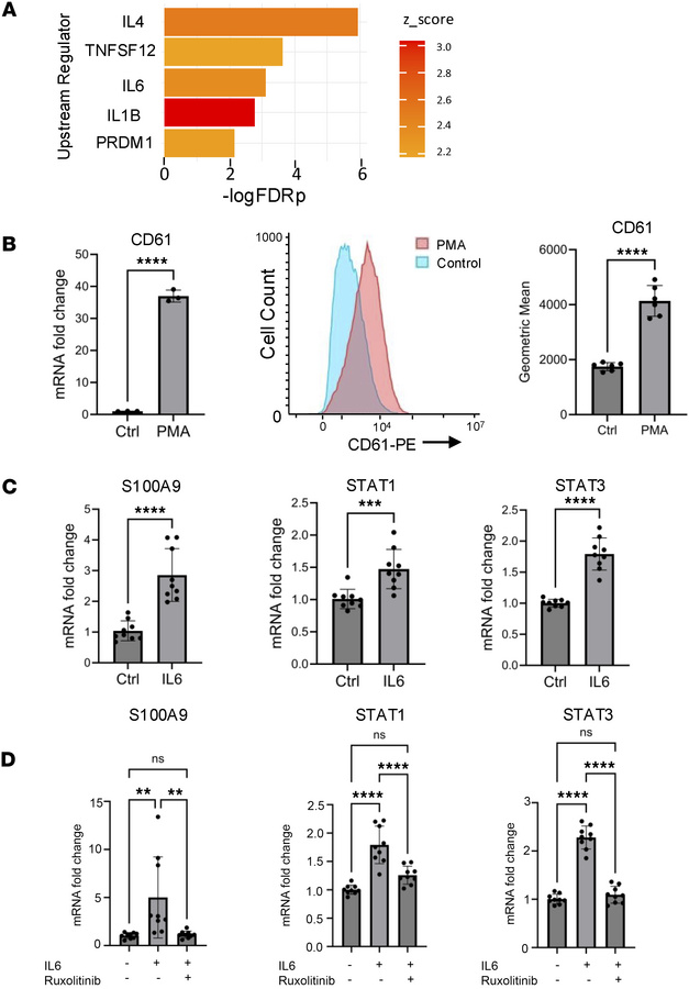 
S100A9 is upregulated via IL-6 and JAK/STAT signaling in human megakary...
