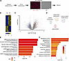 Differential gene expression and pathway analysis of platelets from patient
