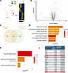 Integrated transcriptomic and proteomic analyses identify overlapping infla