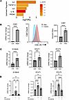 S100A9 is upregulated via IL-6 and JAK/STAT signaling in human megakaryocyt