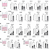 S100A9 significantly increases expression of inflammatory genes in primary