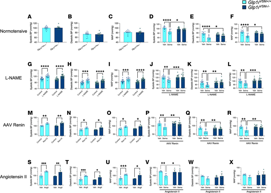 Semaglutide acutely lowers blood pressure in Glp1rVSM+/+ but not in Glp1...