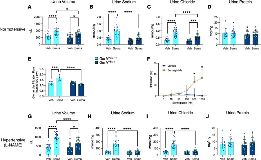 Semaglutide-induced diuresis and natriuresis are lower but not ablated b...