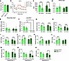Loss of Glp1r expression in the Tie2 domain does not impair semaglutide-med