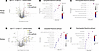 Identification of renal artery and kidney proteomic changes in Glp1rVSM+/+