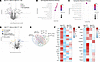 Identification of renal artery proteomic changes with semaglutide treatment