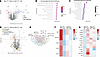 Identification of kidney proteomic changes with semaglutide treatment in Gl