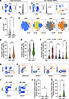 CMV-serostatus influences KIR expression by γδ T cells.