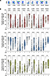 KIR+γδ T cells display enhanced maturity and cytotoxic potential compared w