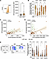 KIR+ γδ T cells have a TEMRA phenotype.