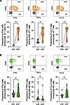 KIR+ γδ T cells exhibit elevated levels of cytokine production following ac