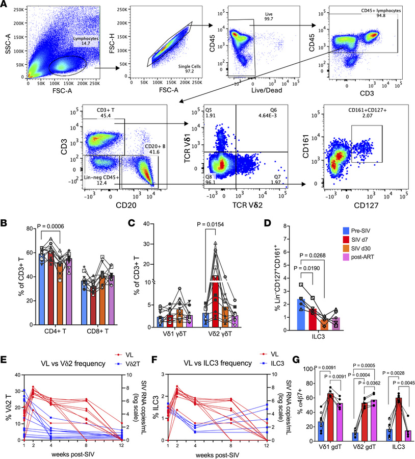 Temporal dynamics of Vδ2 T cell and ILC3 depletion during acute SIV infe...