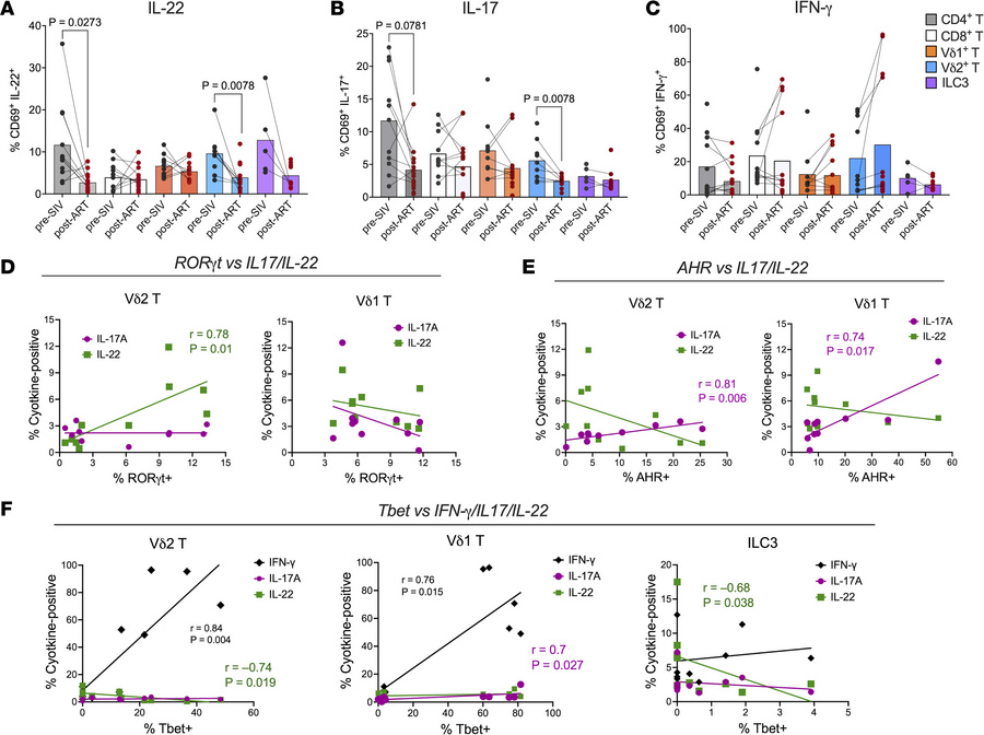 Cytokine production by colonic mucosal T cells and ILC3s during ART-supp...