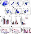 Temporal dynamics of Vδ2 T cell and ILC3 depletion during acute SIV infecti