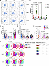 Transcription factor expression in circulating type 3 immune cells during S