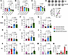 Effects of dietary indoles on plasma biomarkers and type 3 immune cell freq