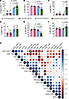 Impact of dietary indoles on colonic mucosal T cell memory distribution and