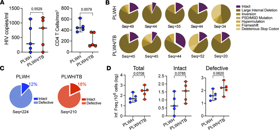 HIV-1 proviral genetic landscape in PLWH/TB.
(A) Plasma HIV-1 RNA copies...