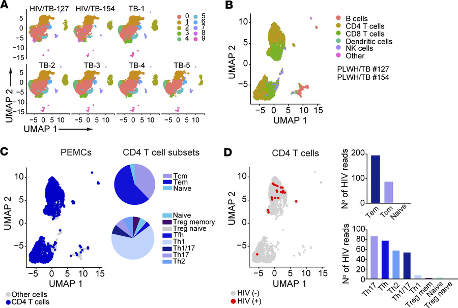 scRNA-seq of TB-PE reveals preferential infection of effector memory CD4...