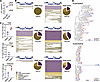 The site of HIV-1/Mtb coinfection is enriched in HIV-1 DNA and RNA.