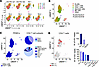 scRNA-seq of TB-PE reveals preferential infection of effector memory CD4+ T