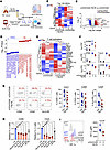 TB-PE treatment downmodulates T cell effector functionality.