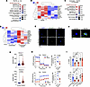 TB-PE–derived lipids accumulate in CD8+ T cells and inhibit T cell activati