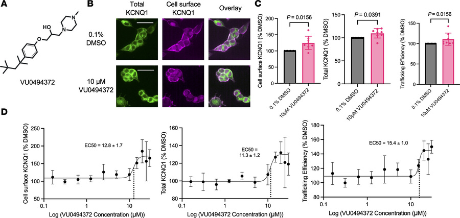 VU0494372 increases cell surface and total KCNQ1 in a dose-dependent fas...
