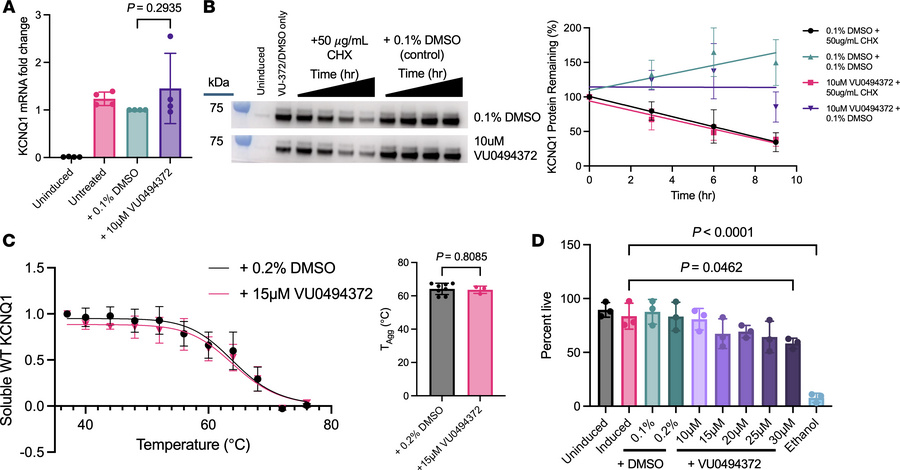 VU0494372 effects do not involve modulation of KCNQ1 degradation, transc...