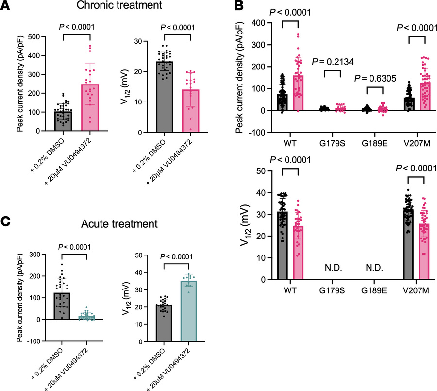 Treatment with VU0494372 leads to an increase in WT and V207M KCNQ1-KCNE...