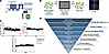 A high-throughput screen to identify compounds that alter KCNQ1 expression