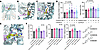 Computational docking, electrophysiology data, and competition assays provi
