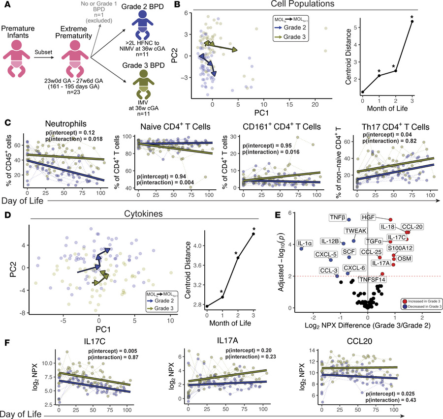 Severe preterm lung disease is associated with a divergent Th17 T cell s...