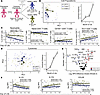 Severe preterm lung disease is associated with a divergent Th17 T cell sign