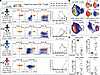 Systemic infection is associated with a sudden, massive, and persistent CD8