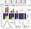 Massive first-in-life T cell reaction is oligoclonal.
