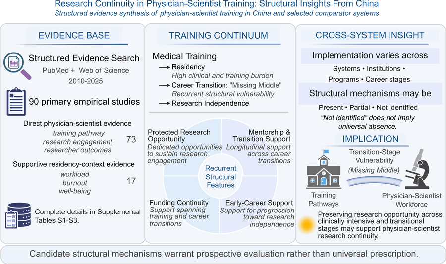 graphical abstract
