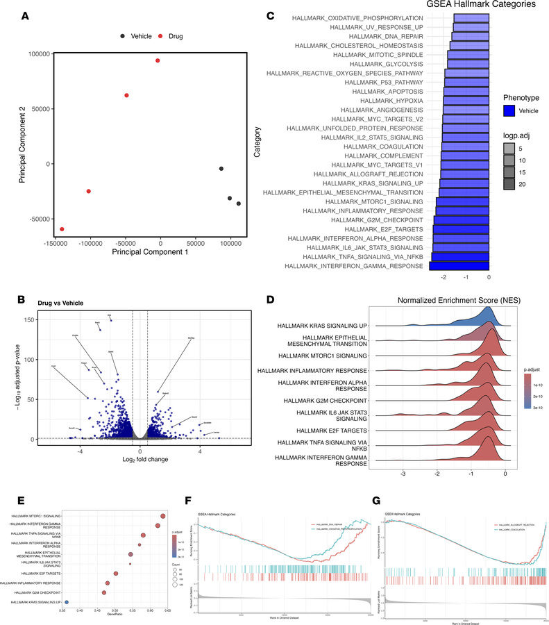 β-Catenin agonist treatment reprograms lung gene expression during prist...