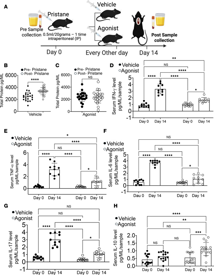 β-Catenin agonists reduce proteinuria and modulate cytokine responses in...