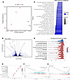 β-Catenin agonist treatment reprograms lung gene expression during pristane
