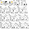 β-Catenin stabilization reduces proteinuria, suppresses proinflammatory cyt