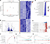 β-Catenin stabilization reprograms lung gene expression during pristane-ind