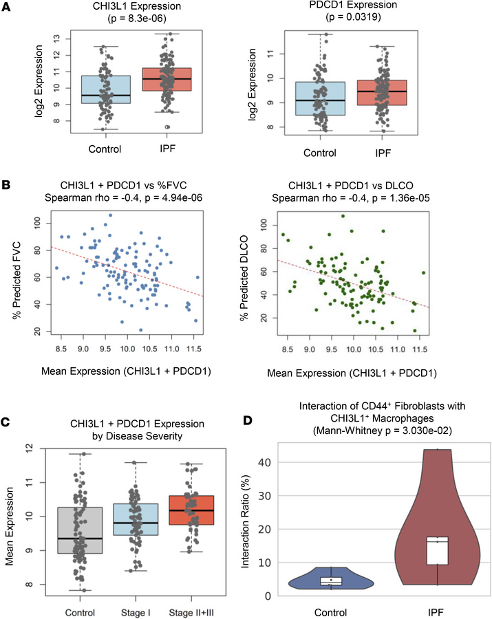 Increased CHI3L1 and PD-1 expression and spatial interaction between CHI...