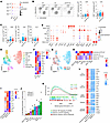 pCYP11A1 immunization recruits heterogeneous CD4+ T cells into the adrenals