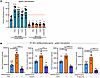 MRC2 is required for dedifferentiating agent enhancement of gelatin interna