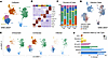 Single-nucleus analysis of flu infection in AEOs.