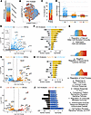 Trajectory of gene expression during IAV infection in AEOs.